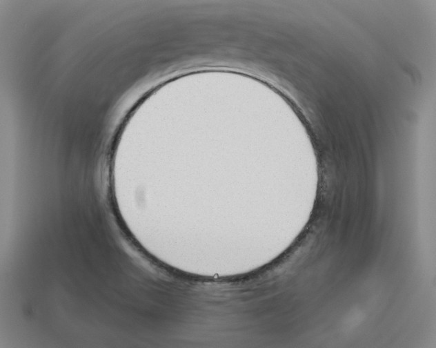 X0000112761511200910011205