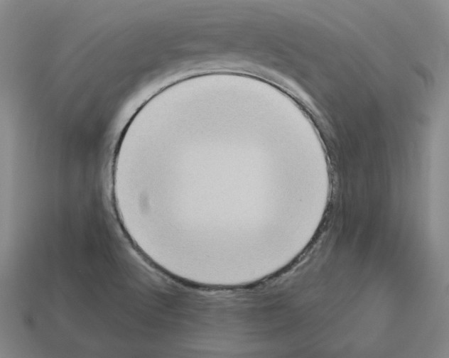 X0000112761512200910011205