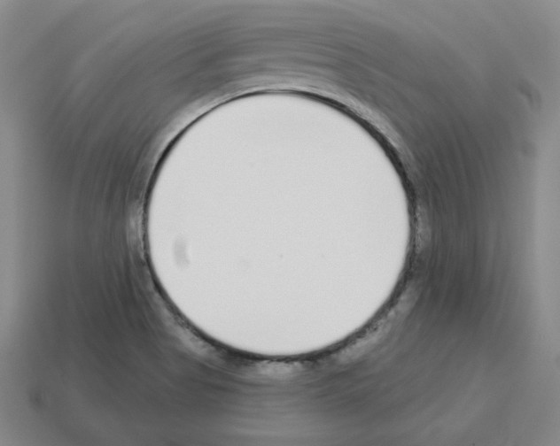 X0000112761513200910011205