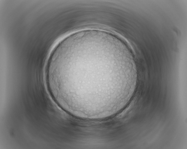 X0000112761514200910011205