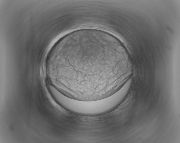 X0000112761515200910011205
