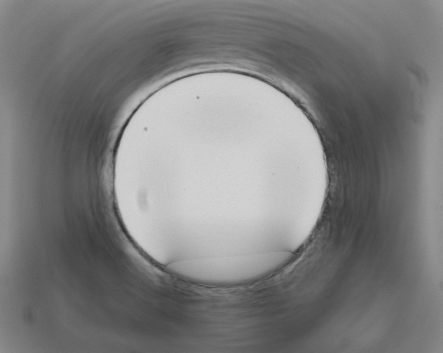 X0000112761516200910011205