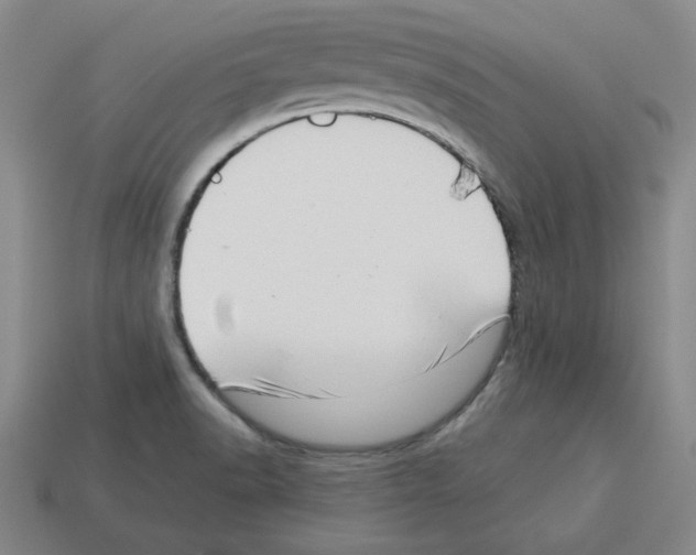 X0000112761518200910011205