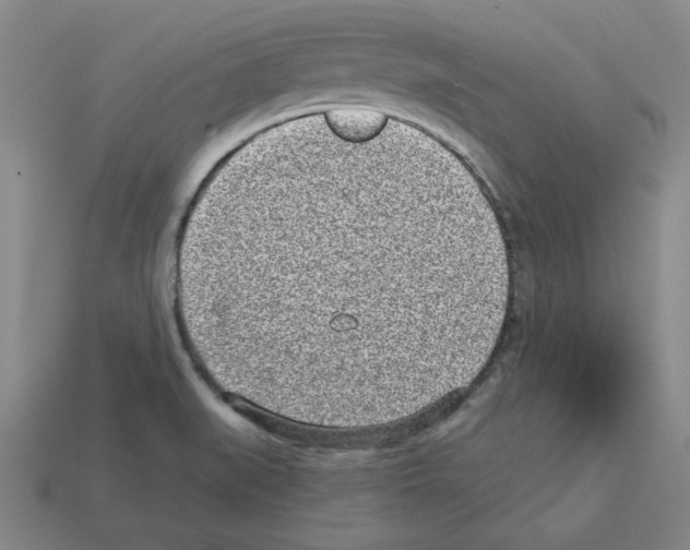 X0000112761519200910011205