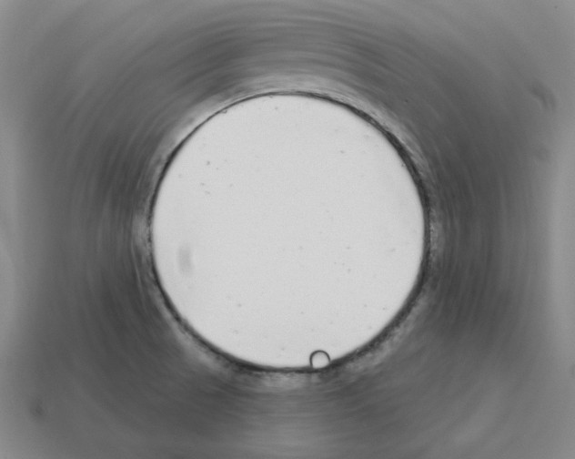 X0000112761521200910011205