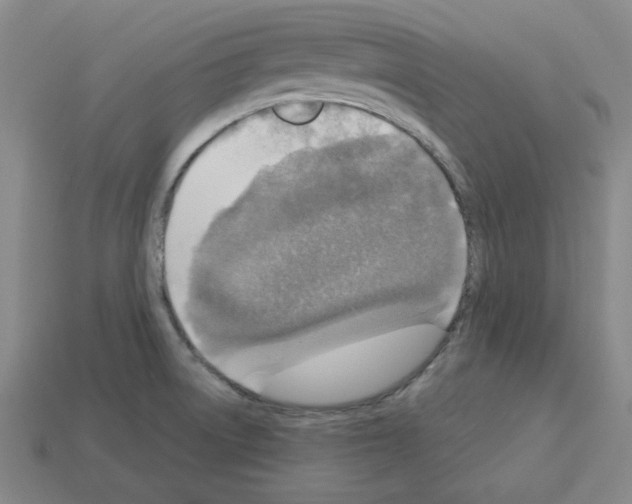 X0000112761522200910011205