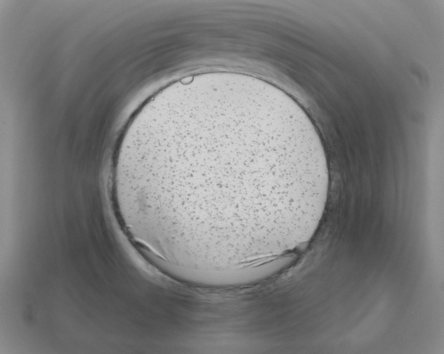 X0000112761523200910011205