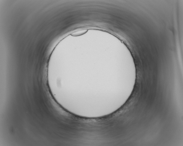 X0000112761524200910011205
