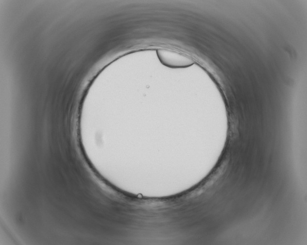 X0000112761525200910011205