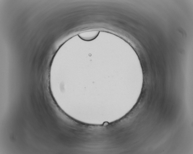 X0000112761526200910011205