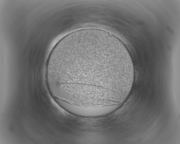 X0000112761527200910011205