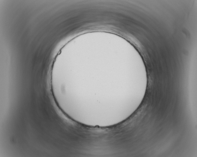 X0000112761528200910011205