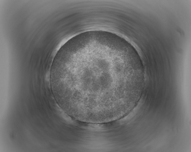 X0000112761529200910011205
