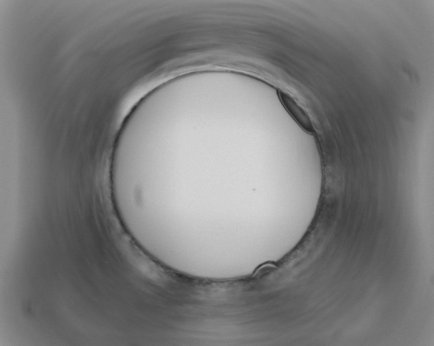 X0000112761530200910011205