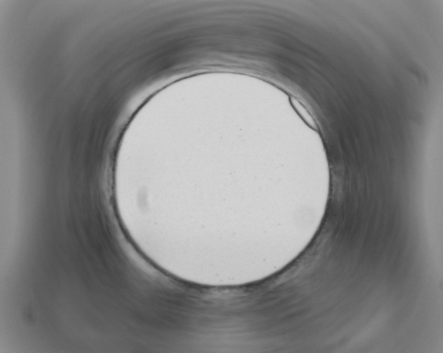 X0000112761531200910011205