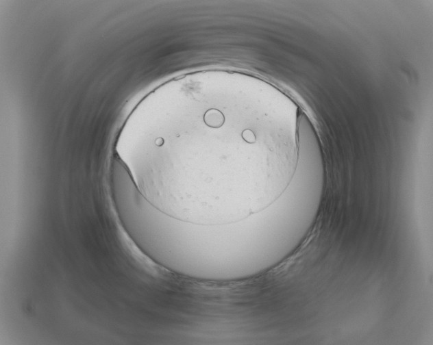 X0000112761532200910011205