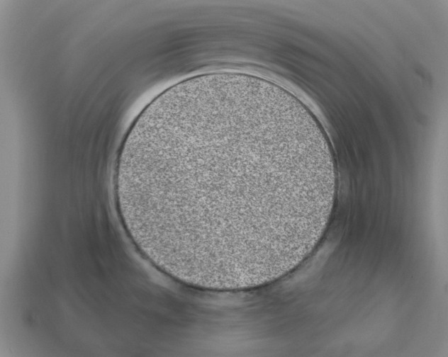 X0000112761533200910011205