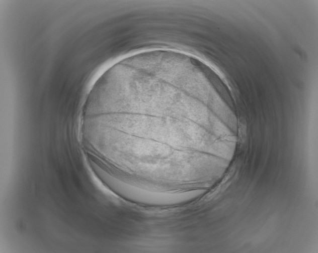 X0000112761535200910011205