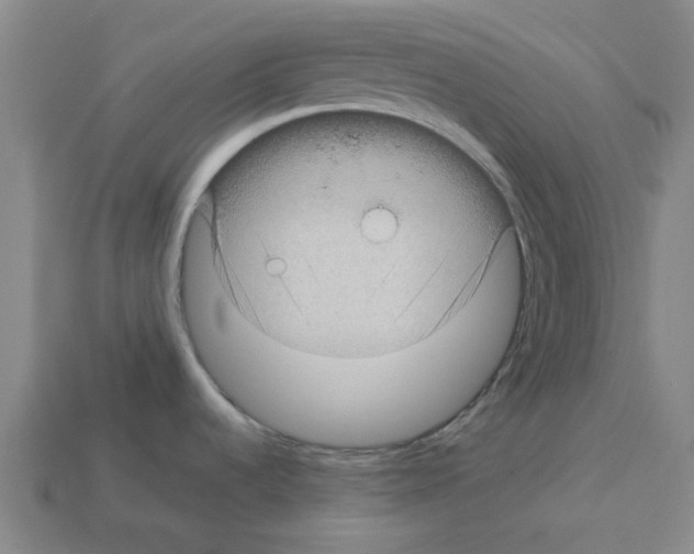 X0000112761536200910011205