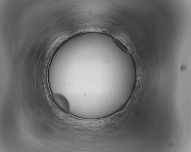 X0000112770001200908201401