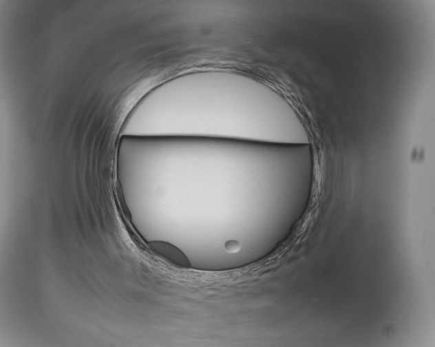 X0000112770003200908201401