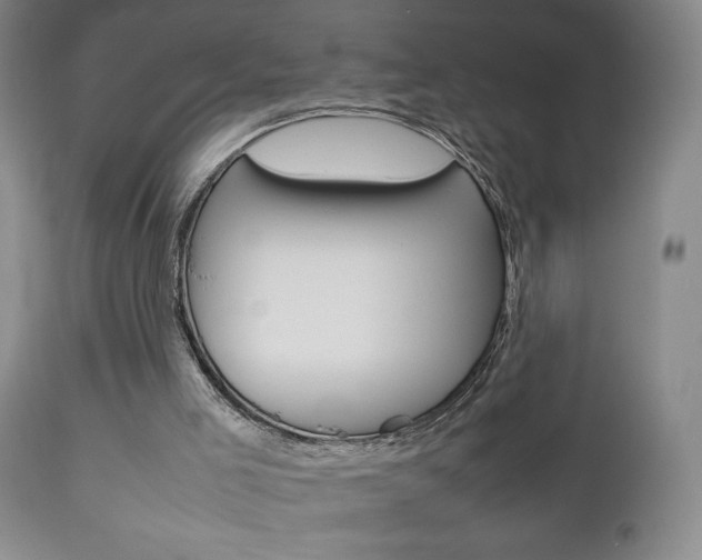 X0000112770005200908201401