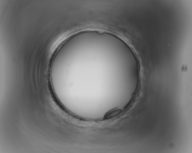 X0000112770007200908201401