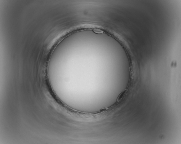 X0000112770015200908201401