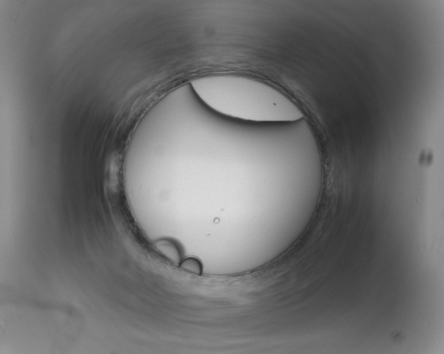 X0000112770026200908201401