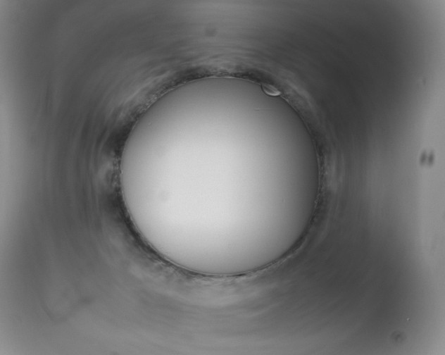 X0000112770029200908201401