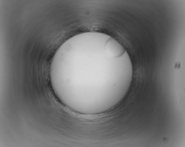 X0000112770030200908201401