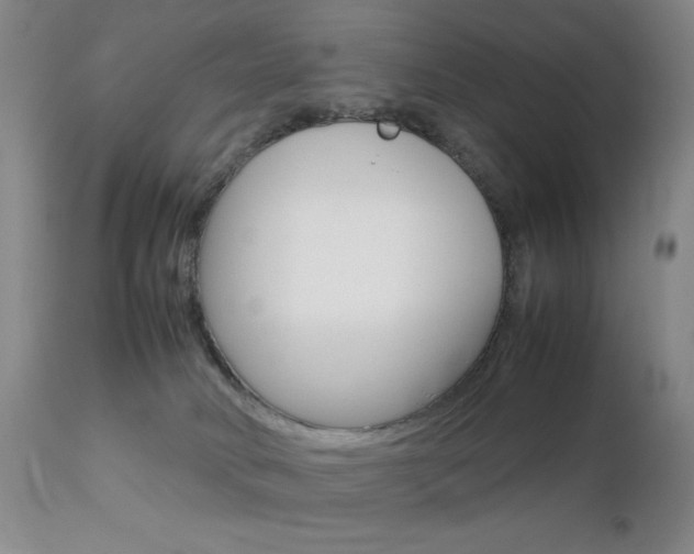 X0000112770034200908201401