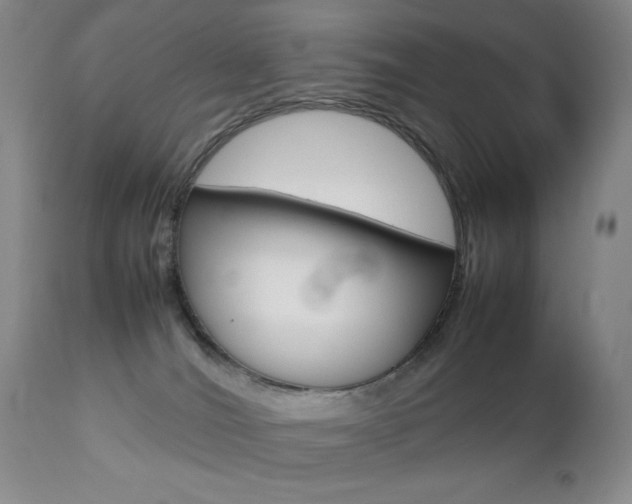 X0000112770036200908201401