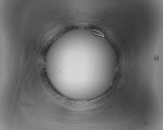 X0000112770037200908201400