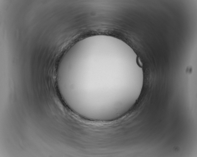 X0000112770040200908201400