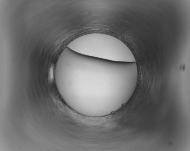 X0000112770042200908201400