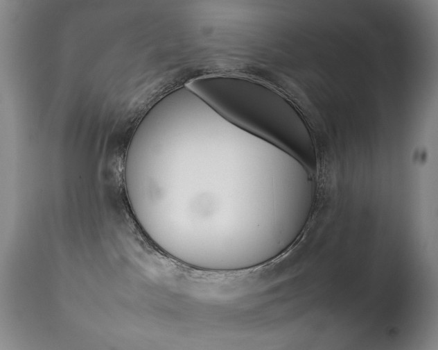 X0000112770045200908201400