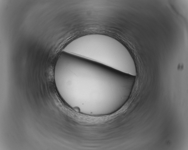 X0000112770048200908201400