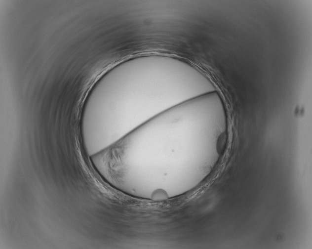 X0000112770049200908201359