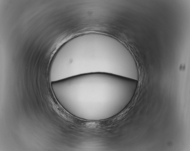 X0000112770050200908201359