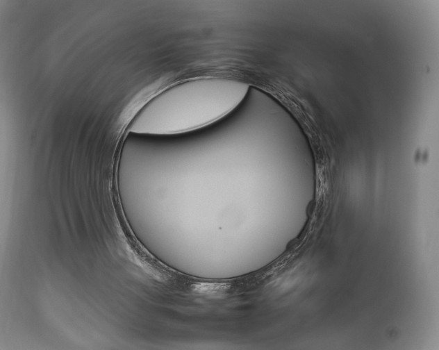 X0000112770051200908201359