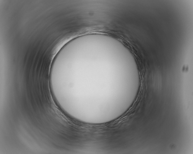 X0000112770052200908201359