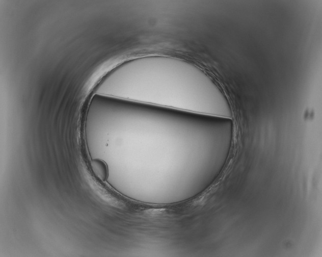 X0000112770054200908201359