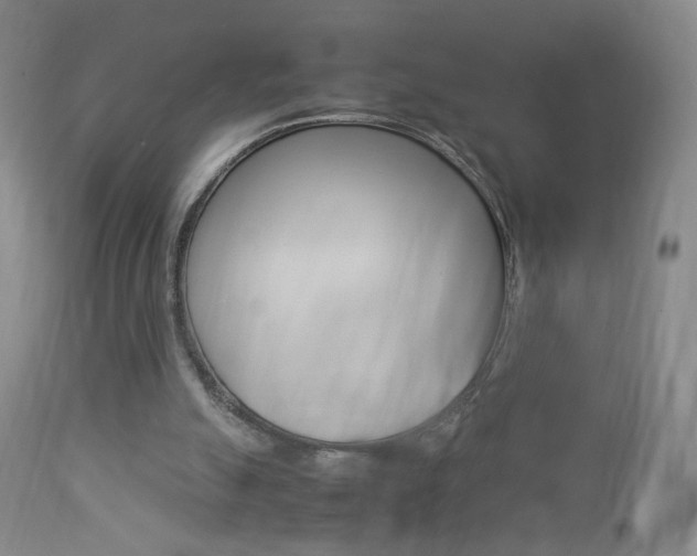 X0000112770055200908201400