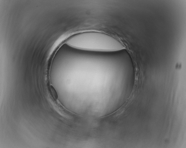 X0000112770056200908201400