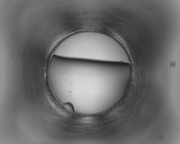 X0000112770059200908201400