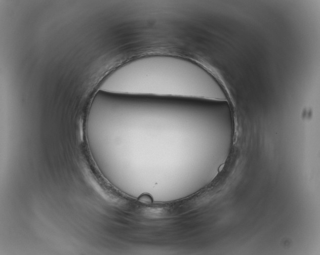 X0000112770061200908201400