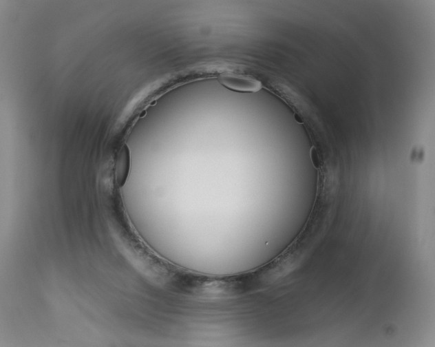 X0000112770064200908201400