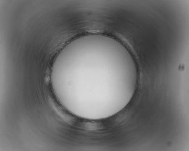 X0000112770069200908201400