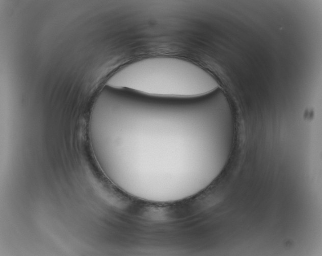 X0000112770071200908201400